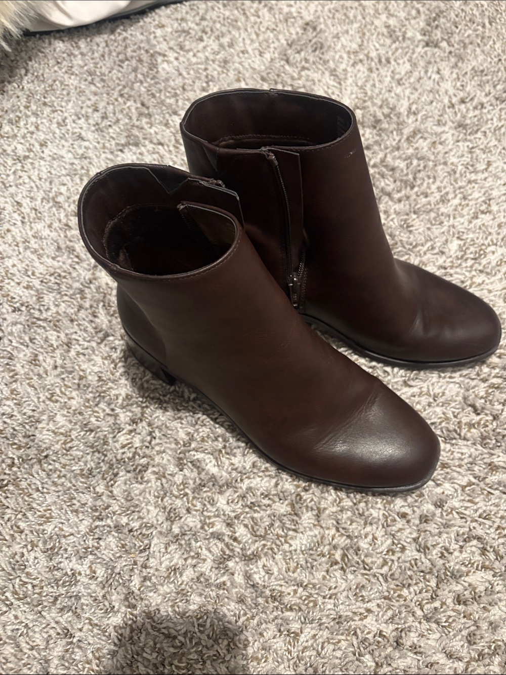 Sonoma Dark Brown Leather Ankle Booties